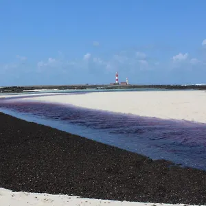https://hostel-claro.hotelsfuerteventura.org